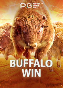 วิธีเล่น lucky clover slot เกมแห่งโชคชะตาที่คุณต้องลอง